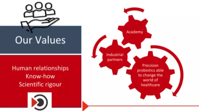 TargEDys - Our values